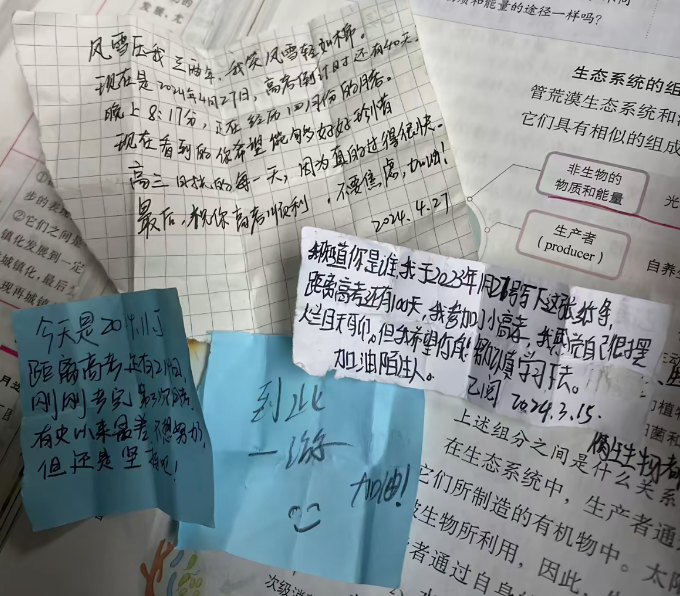 d5ea80cf-ed42-49f9-8fe9-a275505e21e5.jpg