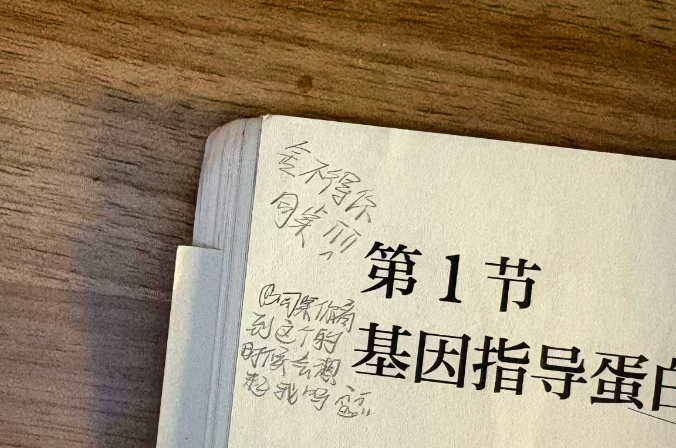 8e19466a-ed3c-4c70-96fe-4660948ab734.jpg
